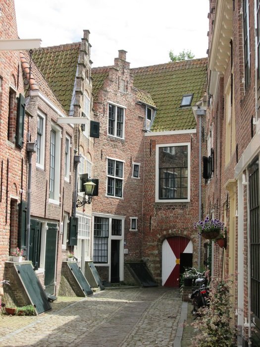 lane among houses