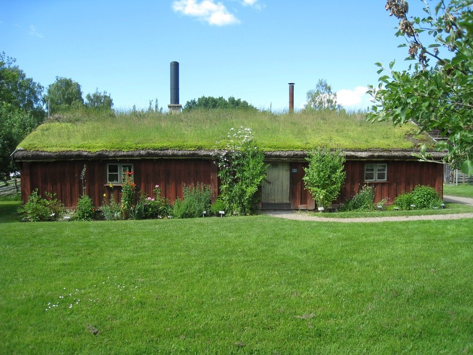 grass on the roof of a house in Sweden