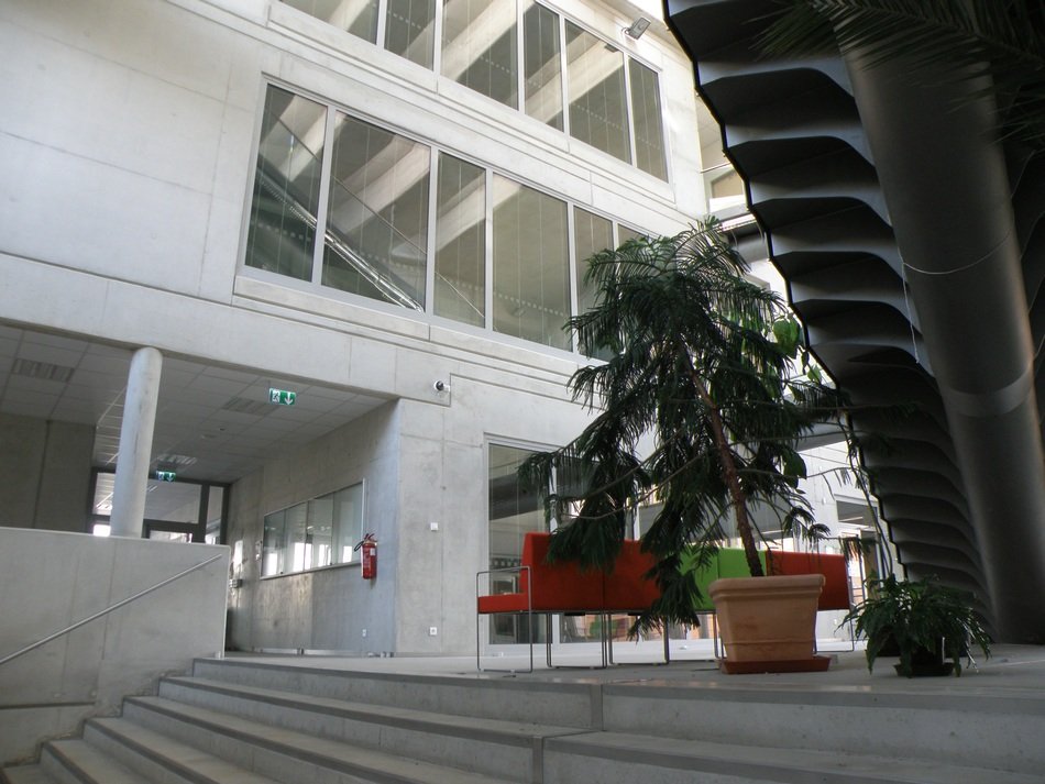 Atrium, gallery of modern University