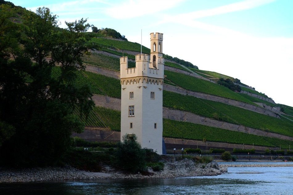 mÃ¤useturm tower in summer landscape, germany, bingen