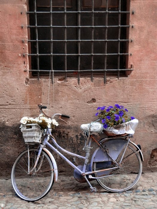purple bicycle with flowers stands near the wall, liguria