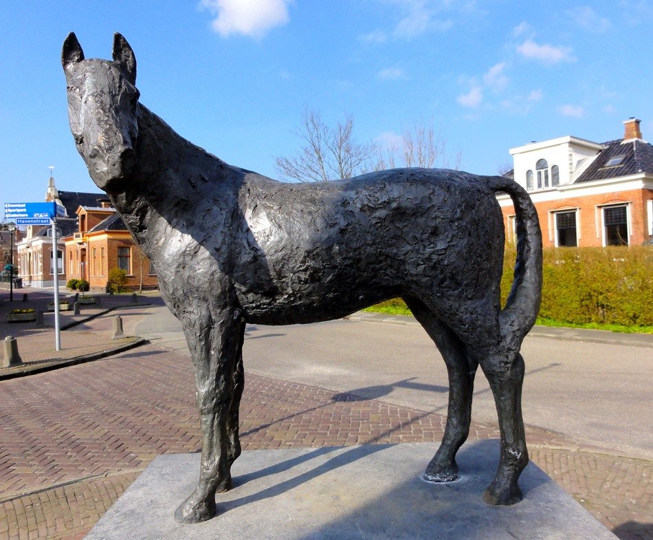 statue of a horse among a city in the netherlands