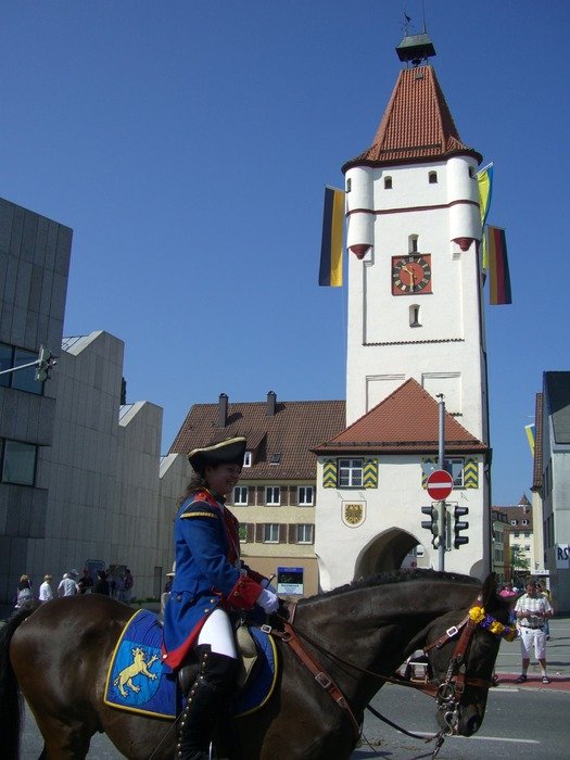 Ulnmer gate guard
