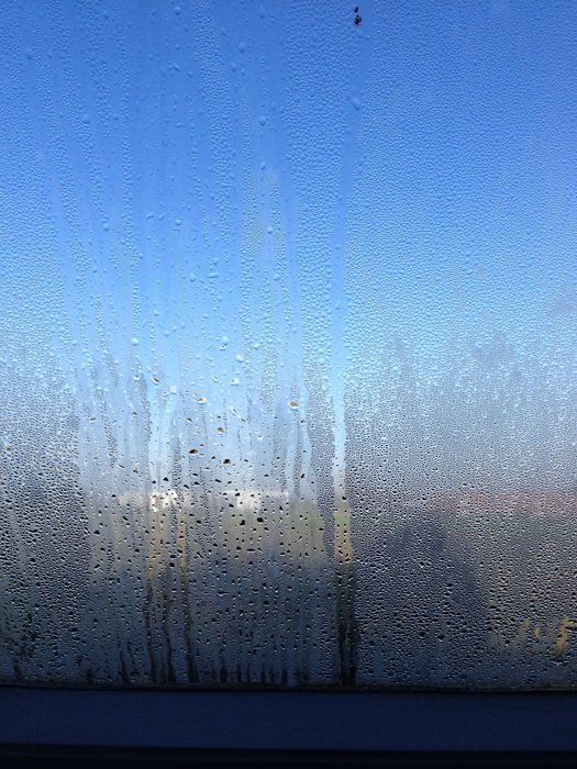 blue misted window