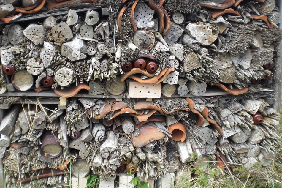 house for insects in a tree