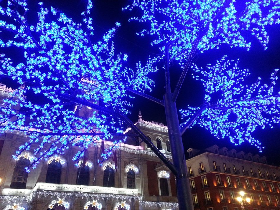 Night view of the wintry city