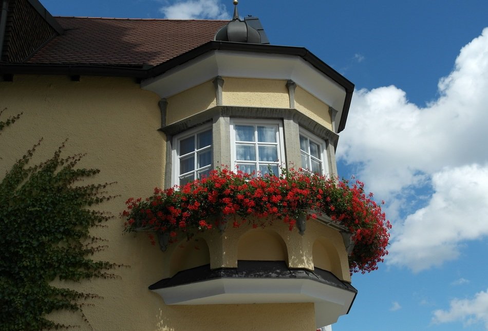 window with flowers at the corner of the facade