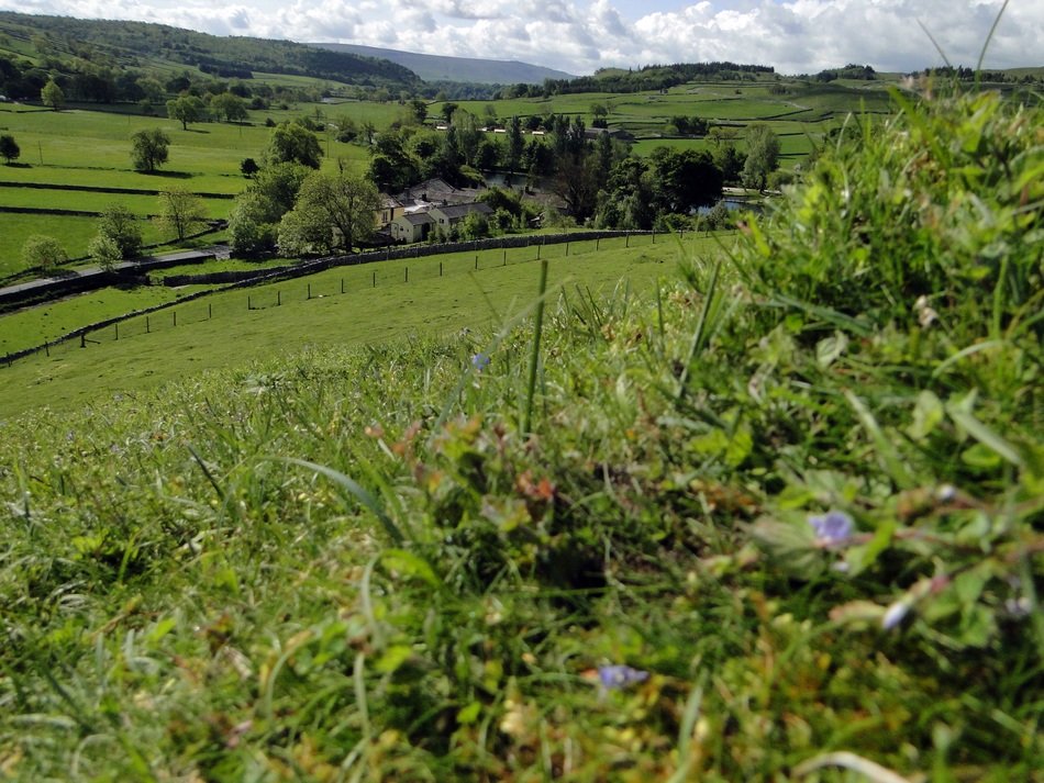 england nature summer green landscape