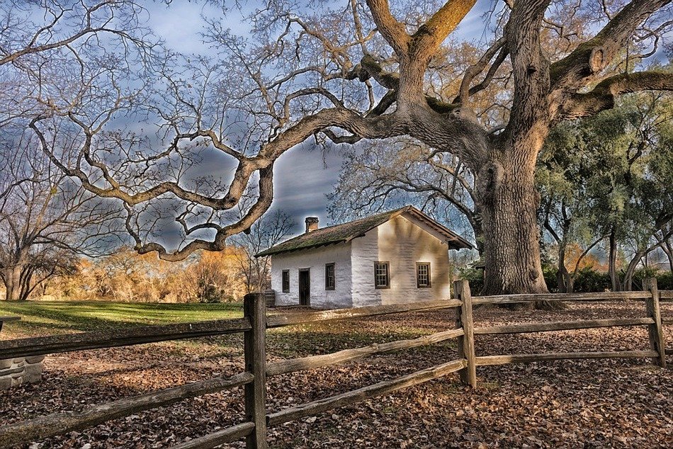 home in nature in california