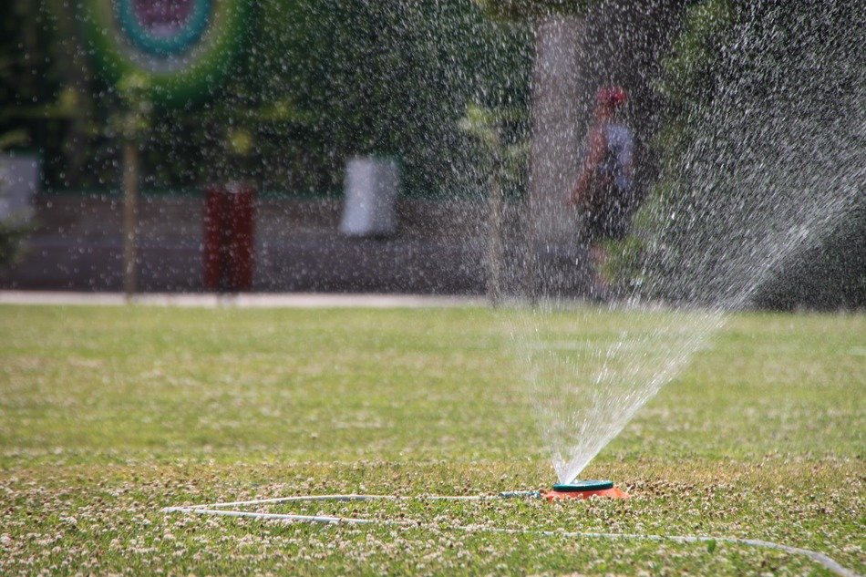 city garden spraying close-up