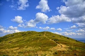 green hill under the blue sky