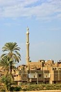 hot Egypt summer