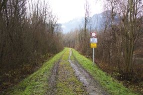 road sign near a road in the forest