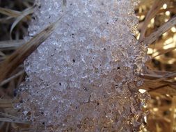 ice macro