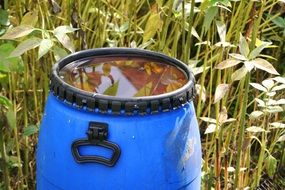 Water in a blue pot