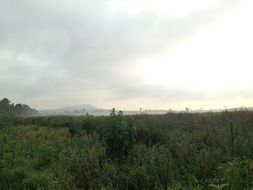 Landscape with the clouds on the field