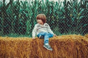 boy sitting on hay