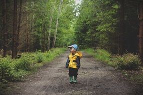 Child on the path among the forest