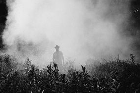 farmer spraying plants