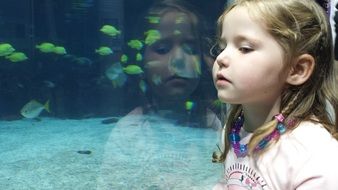 Girl is looking at aquarium