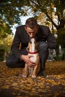 dog and man kisses each other
