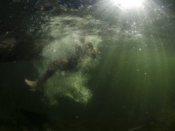 person underwater