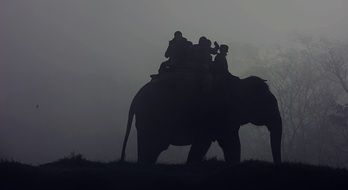 People ride on an elephant in the fog