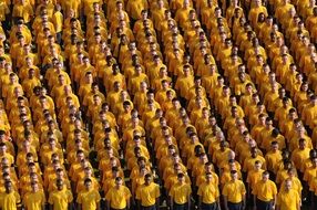sailors all hands