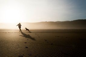 beach dog and girl