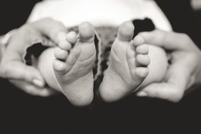 baby cute feet