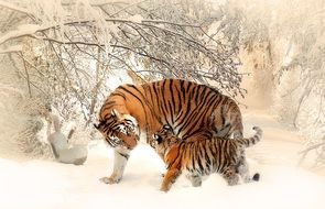 drawing of a tigress and cub in winter