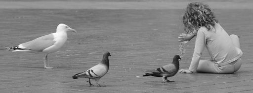 child and birds