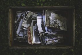 vintage photos in the box