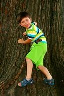 boy on a tree trunk