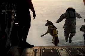 skydiving, man with dog jumping out airplane