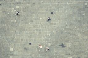 people walking on tile pavement, top view