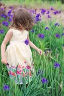 little girl on the field of summer flowers