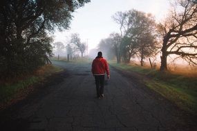 guy on the foggy road