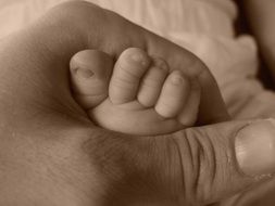 Closeup Photo of man holding child's foot