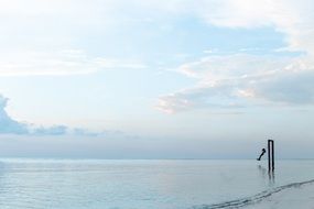 person swinging on the beach