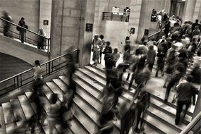 people crowded steps