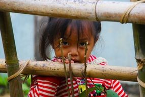 portrait of a little girl behind a fence