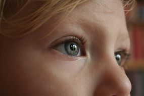 Closeup photo of girl's eyes