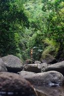 young woman in the tropic forest