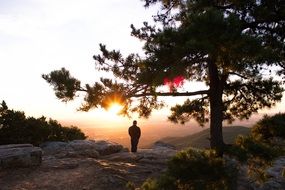 Photo of standing male at the mountain