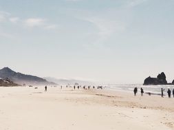 Photo of human are on a sandy shoreline