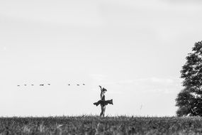 ballet dancer on the field