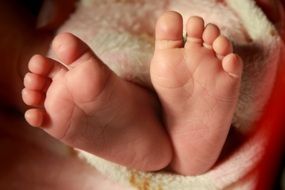 Baby's legs close-up