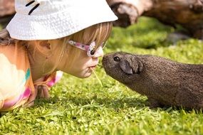 child with guinea pig friendship