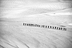 trekking group in mountains